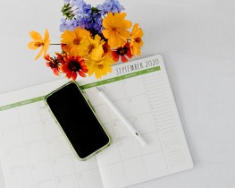 5 Flowers for your September wedding